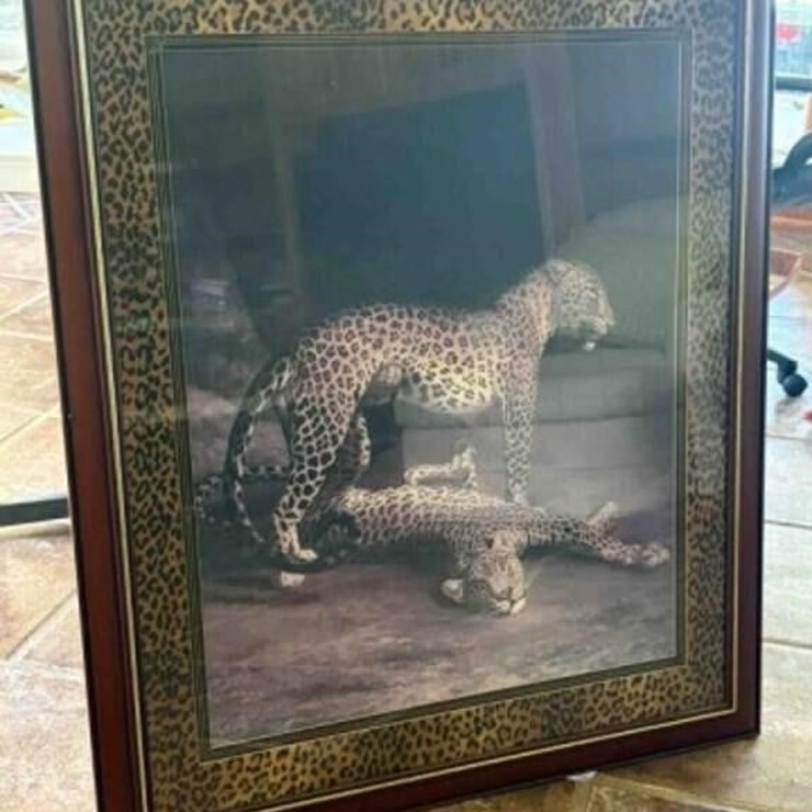 Large Leopard Wall Picture