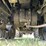 2012-case-ih-600-image-12