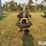 convey-all-1045hdmk-self-propelled-field-conveyor-image-6