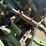 1981-john-deere-4840-image-12