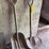 pair-of-shovels.-#278-image-4