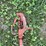 water-hydrant-image-2
