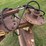 degelman-3pt-grader-blade-image-10
