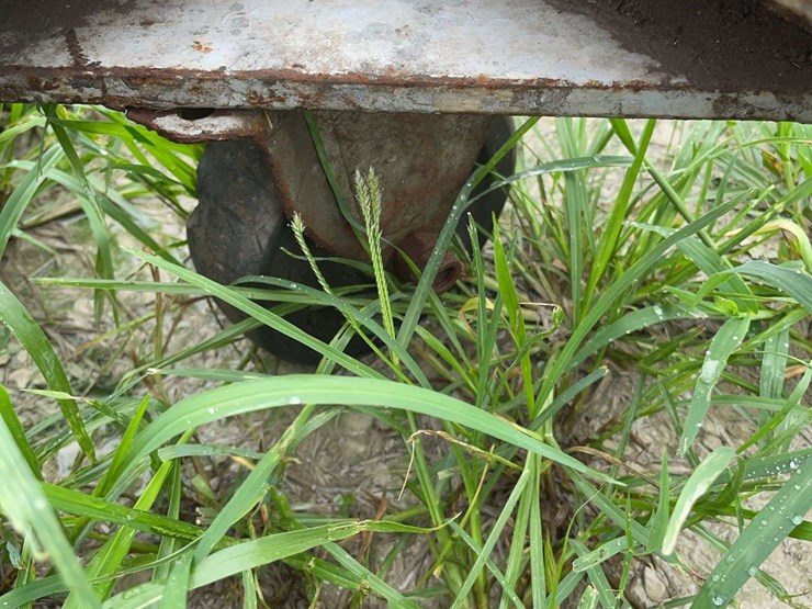 4-wheel-cart-image-4