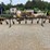 8-row-layby-rig-image-1