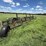 john-deere-3600-image-6