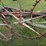 new-idea-404-image-9