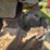 1988-fruehauf-end-dump-trailer-image-24