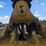 2015-caterpillar-525d-image-60