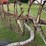 new-idea-404-image-14
