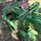 john-deere-7-image-3