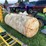 approx-250-gallon-propane-tank-image-4