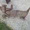 ring-2:-timed-online-consignment/bobby-lee-carr-estate-auction-image-5