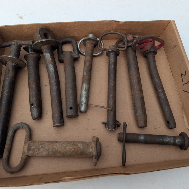 Assortment of hitch pins. #217