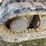 2017-takeuchi-tb240-image-13