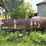 1000-gal-lp-tank-#262-image-4