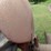 case-sc-tractor-image-48