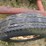 danahue-928-s-planter-trailer-image-18