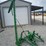 #24951-•-john-deere-3-point-sickle-mower-image-3