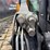2023-jcb-215t-image-11