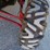 2012-polaris-rzr-900-image-50