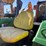 john-deere-5045e-image-17