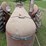 case-sc-tractor-image-7