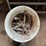 bolt-bin-&-contents.-#263-image-2