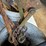 (2)-buckets-of-chain-binders.-#223-image-3