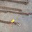 misc.-chains.-#251-image-2