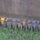 new-holland-489-image-42