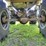 custom-pasture-platform-buggy-image-4