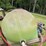 pull-type-120-gallon-sprayer-image-16