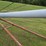 cardinal-8”x50’-straight-auger-image-4