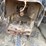 case-ih-jx1075c-image-21