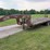1996-ridgeline-gooseneck-trailer-image-2