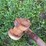 misc.-hydraulic-cylinders-image-5