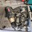 quantity-of-assorted-power-tools-image-2