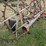 new-idea-404-image-16