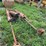 misc.-hydraulic-cylinders-image-3