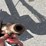 new-holland-320-image-9