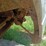 2007-ford-f150-image-81