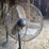 (2)-32"-livestock-fans-w/stands-and-electric-motor-image-8