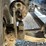2012-mack-tender-truck-w/adams-rear-discharge-bed-auger-image-79
