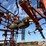 krause-5654-field-cultivator-image-18