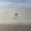 ace-roto-mold-tank-image-4
