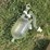pipeline-milk-jar-image-3