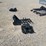 #26111-•-mini-excavator-attachment-set-image-3