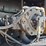 2020-volvo-ec300el-image-40
