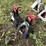 jack-stands---pair-image-2